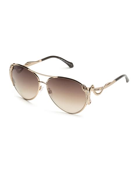 roberto cavalli snake sunglasses|roberto cavalli sunglasses men's.